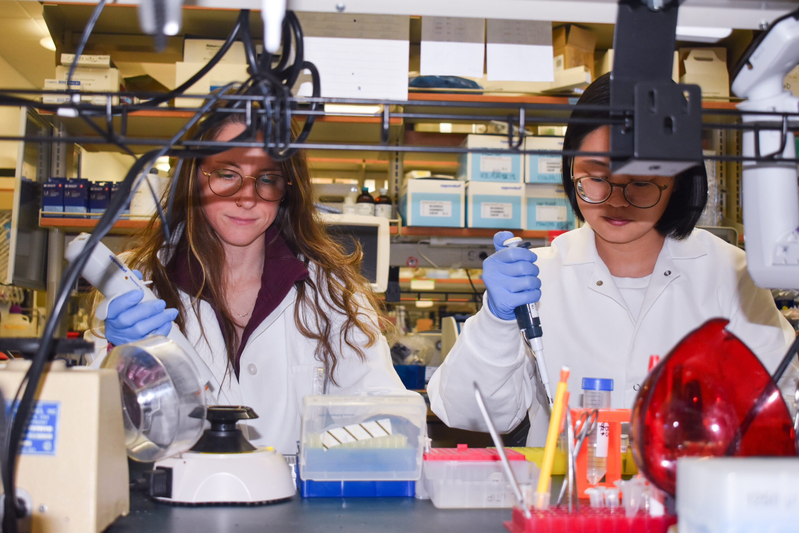 Two female lab members work, with white coats and gloves