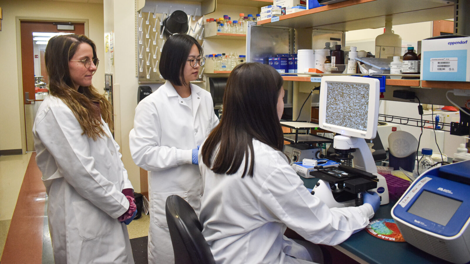 Morris Lab members working