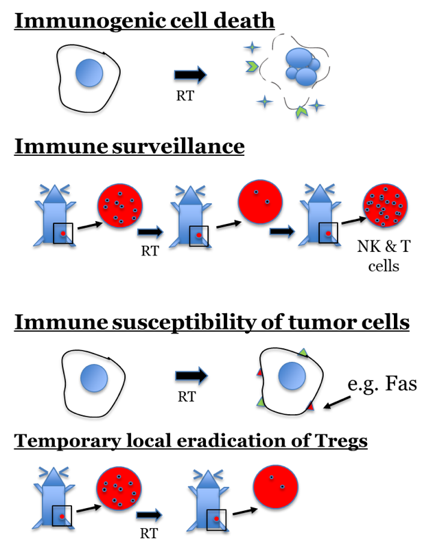 Morris Lab Research Figure 3
